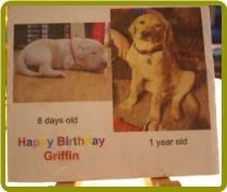 HAND PAINTED SLATE - HAPPY BIRTHDAY  GRIFFIN