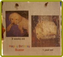 HAND PAINTED SLATE - HAPPY BIRTHDAY  BUSTER