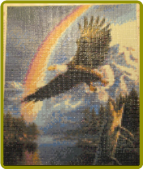 Eagle Rainbow