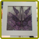 Purple Butterflies (SKU: 23)